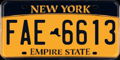 NY license plate FAE6613