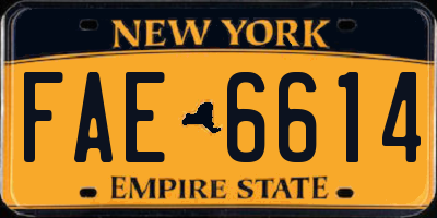 NY license plate FAE6614