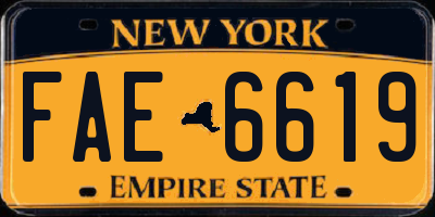 NY license plate FAE6619