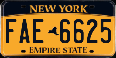NY license plate FAE6625