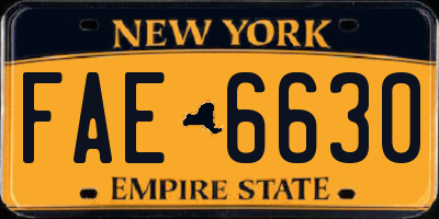 NY license plate FAE6630