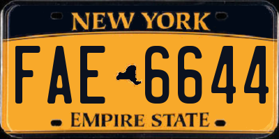 NY license plate FAE6644