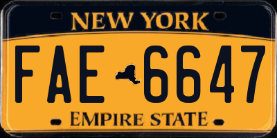NY license plate FAE6647