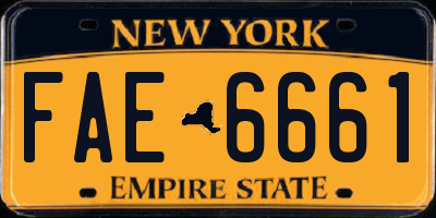 NY license plate FAE6661