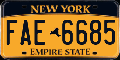 NY license plate FAE6685