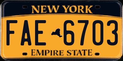 NY license plate FAE6703