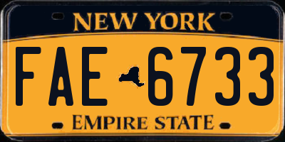 NY license plate FAE6733