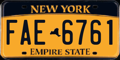 NY license plate FAE6761