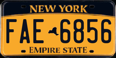 NY license plate FAE6856