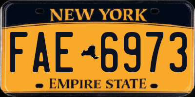 NY license plate FAE6973