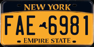 NY license plate FAE6981