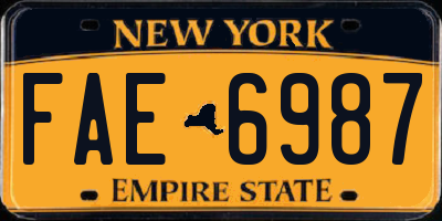 NY license plate FAE6987