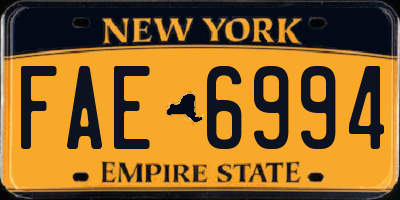 NY license plate FAE6994