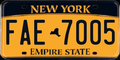 NY license plate FAE7005