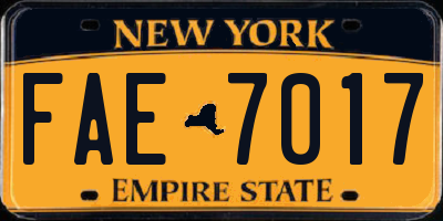 NY license plate FAE7017