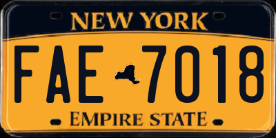 NY license plate FAE7018