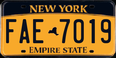 NY license plate FAE7019