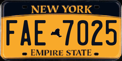 NY license plate FAE7025