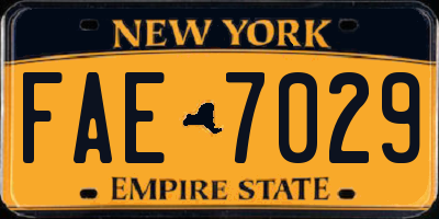 NY license plate FAE7029