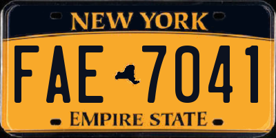 NY license plate FAE7041