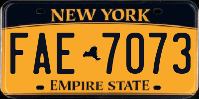 NY license plate FAE7073