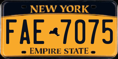 NY license plate FAE7075