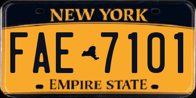 NY license plate FAE7101