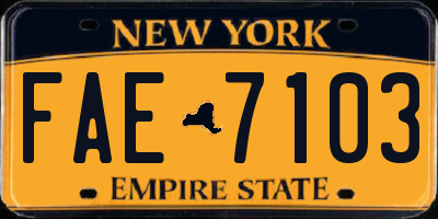 NY license plate FAE7103