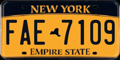 NY license plate FAE7109