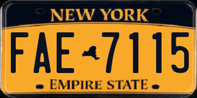 NY license plate FAE7115