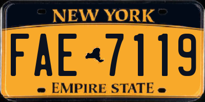 NY license plate FAE7119