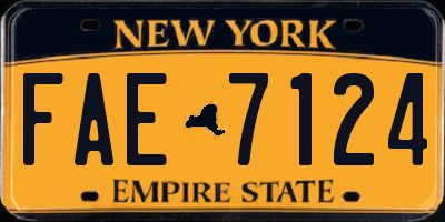 NY license plate FAE7124