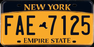 NY license plate FAE7125