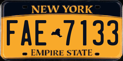 NY license plate FAE7133