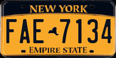 NY license plate FAE7134