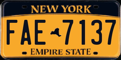 NY license plate FAE7137