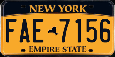 NY license plate FAE7156