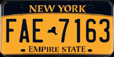 NY license plate FAE7163