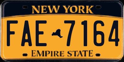 NY license plate FAE7164
