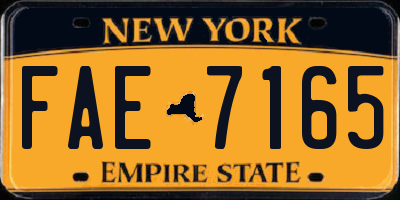 NY license plate FAE7165