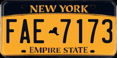 NY license plate FAE7173