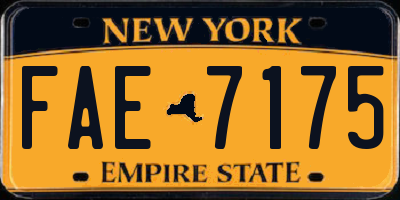 NY license plate FAE7175