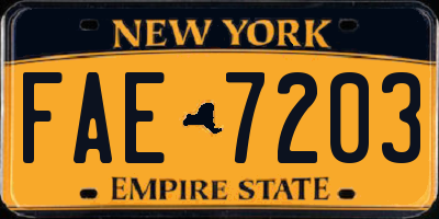 NY license plate FAE7203