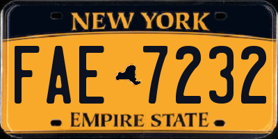 NY license plate FAE7232