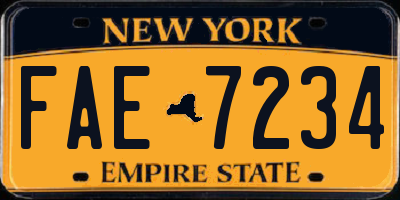 NY license plate FAE7234