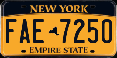 NY license plate FAE7250