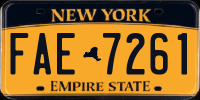 NY license plate FAE7261