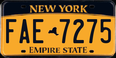NY license plate FAE7275