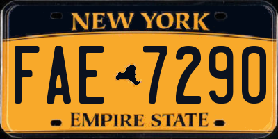 NY license plate FAE7290