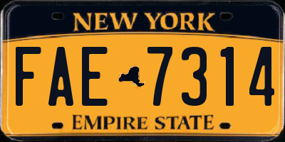 NY license plate FAE7314